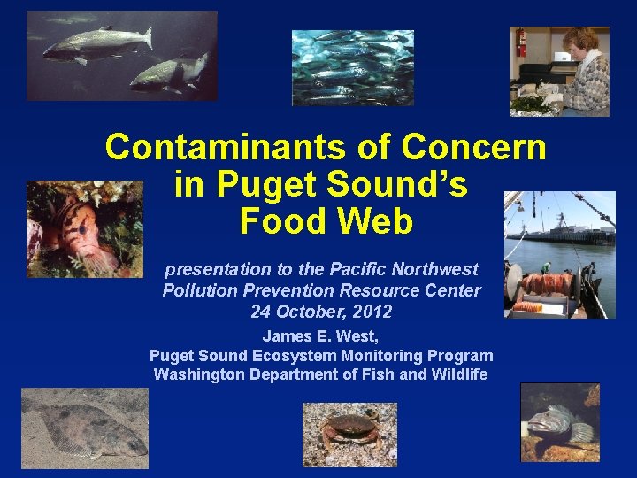 Contaminants of Concern in Puget Sound’s Food Web presentation to the Pacific Northwest Pollution