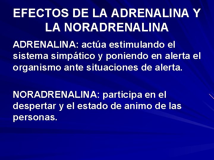 EFECTOS DE LA ADRENALINA Y LA NORADRENALINA: actúa estimulando el sistema simpático y poniendo EFECTOS DE LA ADRENALINA Y LA NORADRENALINA: actúa estimulando el sistema simpático y poniendo