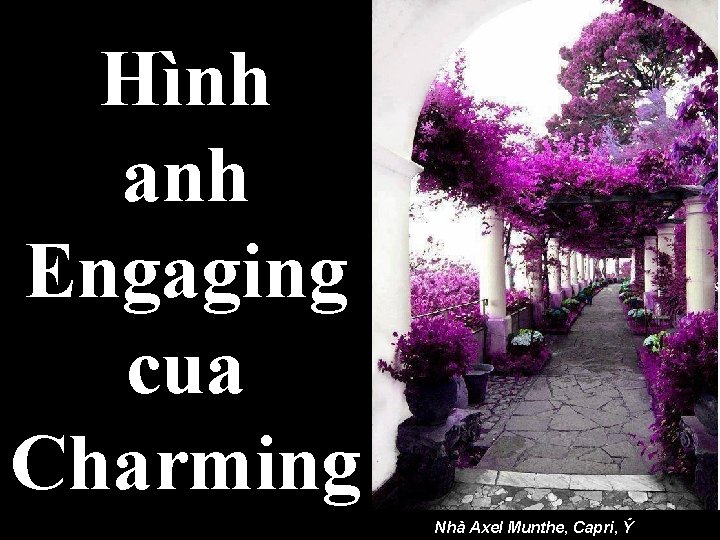 Hình anh Engaging cua Charming Nhà Axel Munthe, Capri, Ý 