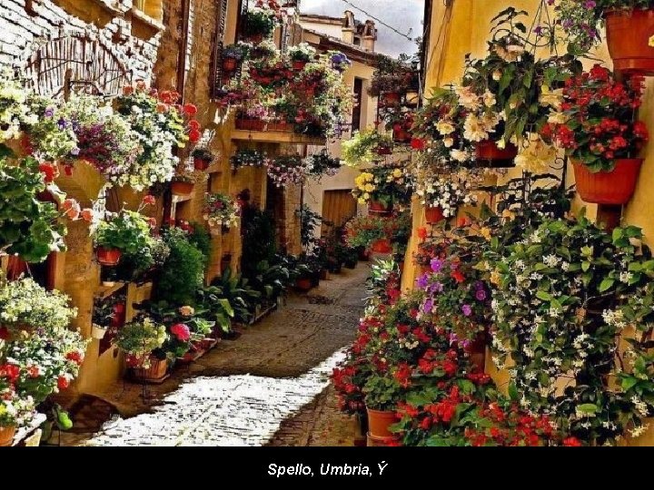 Spello, Umbria, Ý 