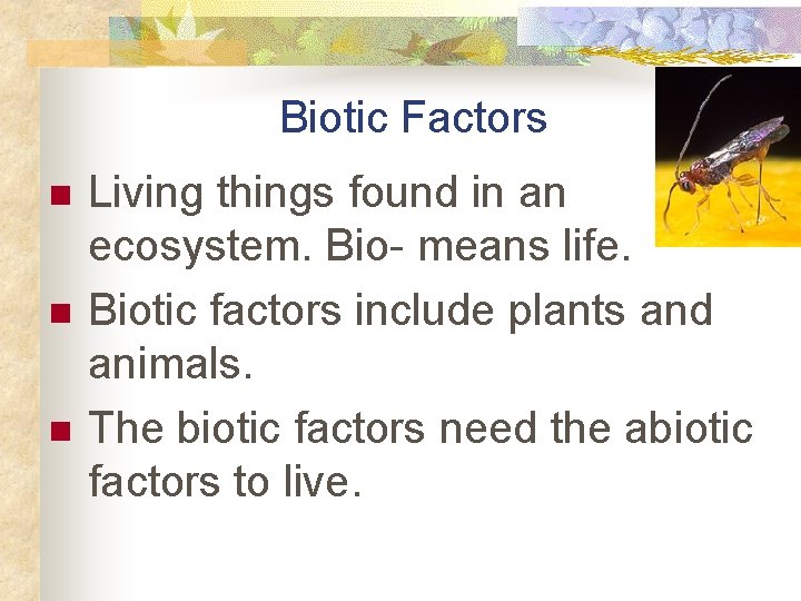 Biotic Factors n n n Living things found in an ecosystem. Bio- means life.