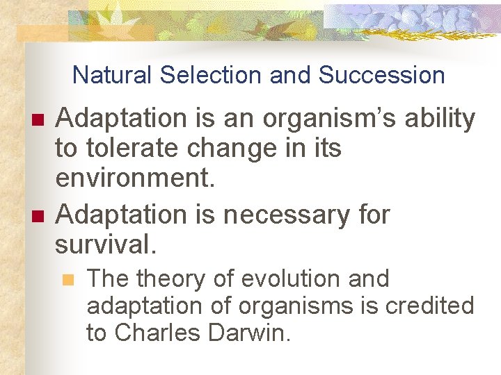 Natural Selection and Succession n n Adaptation is an organism’s ability to tolerate change