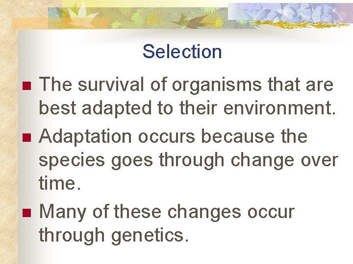 Selection n The survival of organisms that are best adapted to their environment. Adaptation