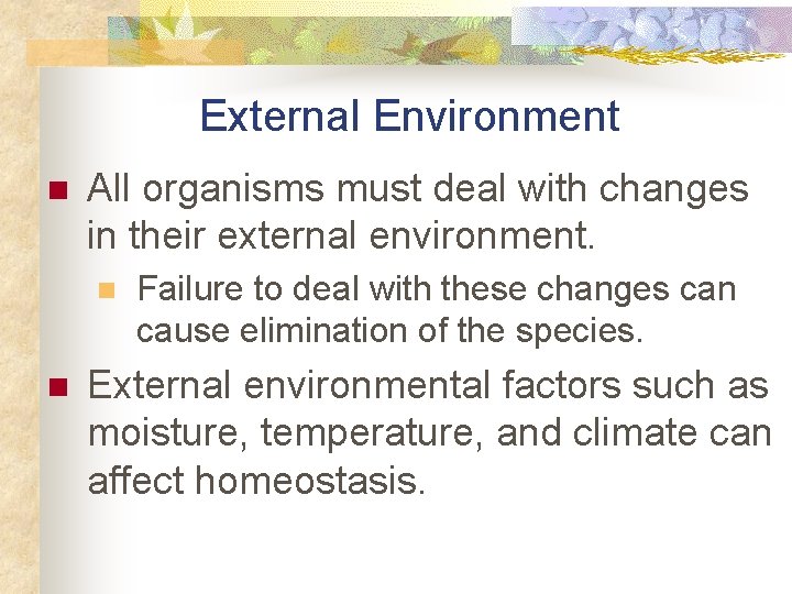 External Environment n All organisms must deal with changes in their external environment. n