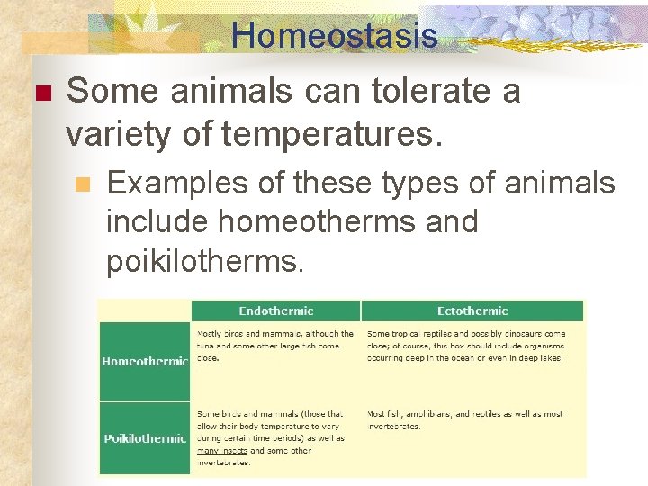 Homeostasis n Some animals can tolerate a variety of temperatures. n Examples of these