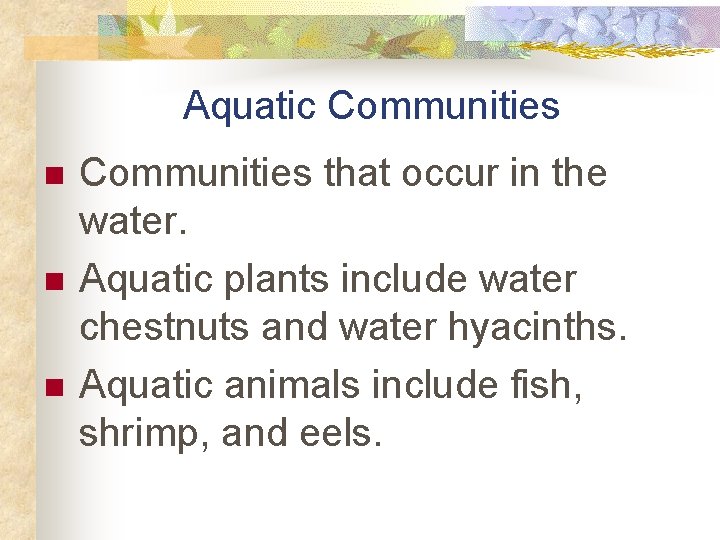 Aquatic Communities n n n Communities that occur in the water. Aquatic plants include