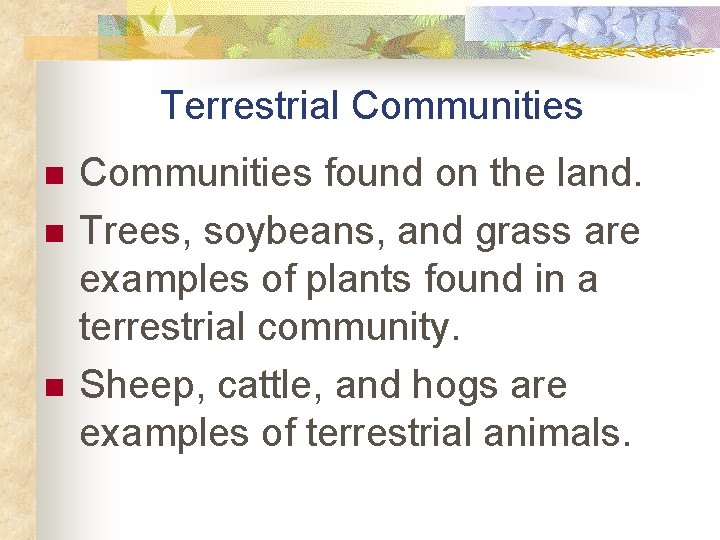 Terrestrial Communities n n n Communities found on the land. Trees, soybeans, and grass