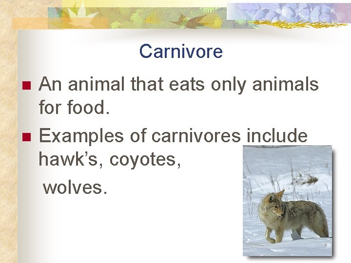 Carnivore n n An animal that eats only animals for food. Examples of carnivores