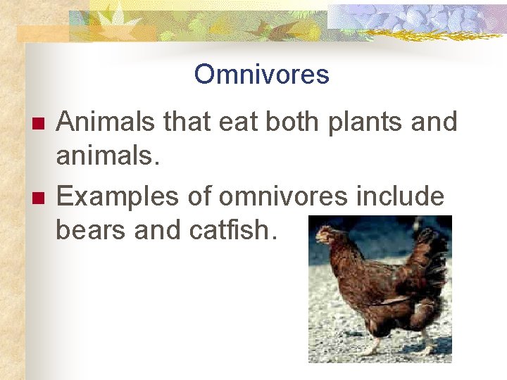 Omnivores n n Animals that eat both plants and animals. Examples of omnivores include