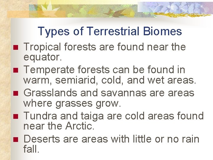 Types of Terrestrial Biomes n n n Tropical forests are found near the equator.