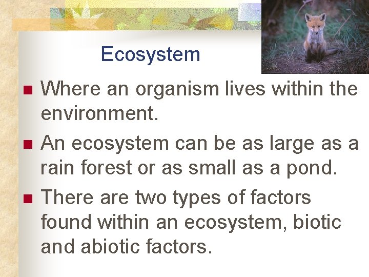 Ecosystem n n n Where an organism lives within the environment. An ecosystem can