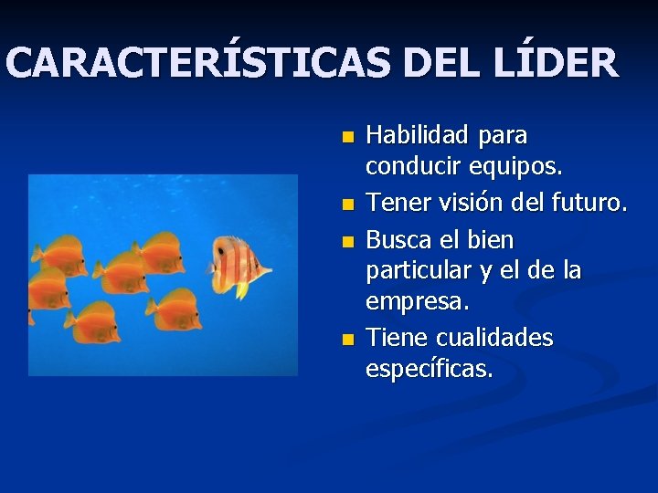 CARACTERÍSTICAS DEL LÍDER n n Habilidad para conducir equipos. Tener visión del futuro. Busca