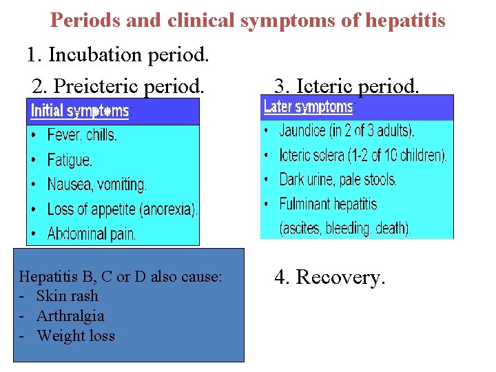 Periods and clinical symptoms of hepatitis 1. Incubation period. 2. Preicteric period. Hepatitis B,