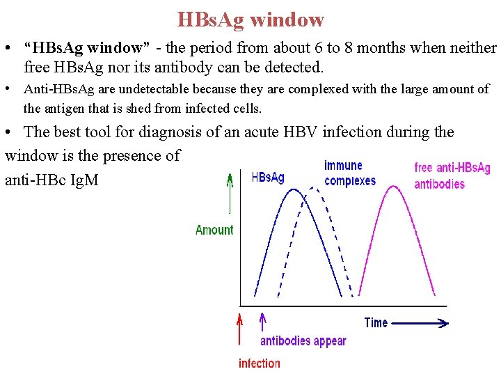 HBs. Ag window • “HBs. Ag window” - the period from about 6 to