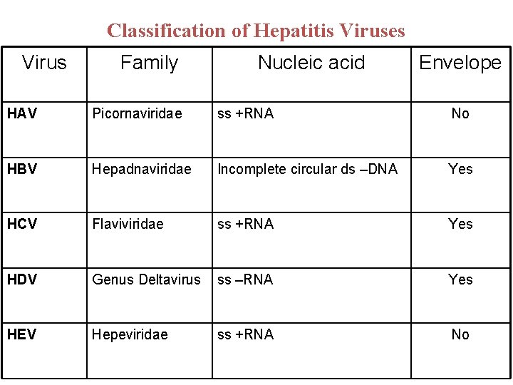 Classification of Hepatitis Viruses Virus Family Nucleic acid Envelope HAV Picornaviridae ss +RNA No