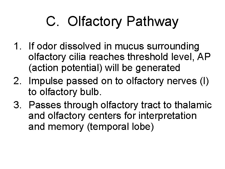 C. Olfactory Pathway 1. If odor dissolved in mucus surrounding olfactory cilia reaches threshold