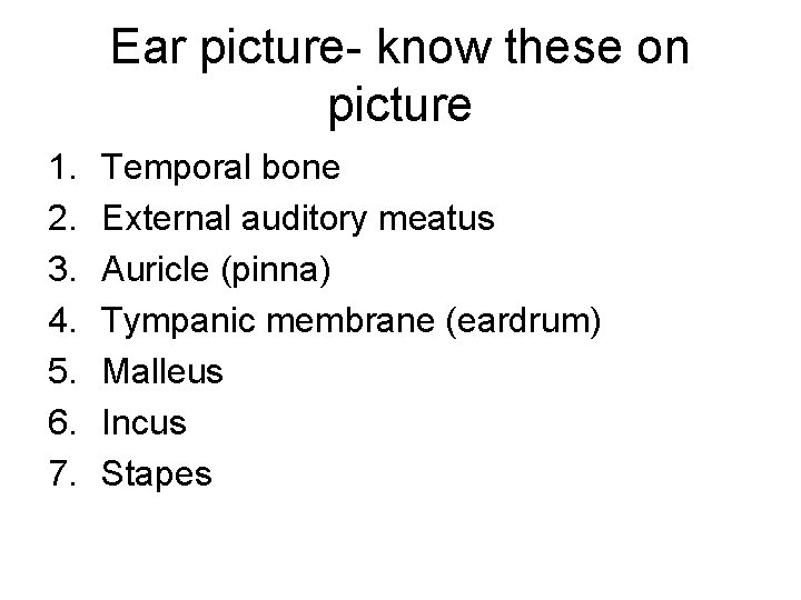 Ear picture- know these on picture 1. 2. 3. 4. 5. 6. 7. Temporal