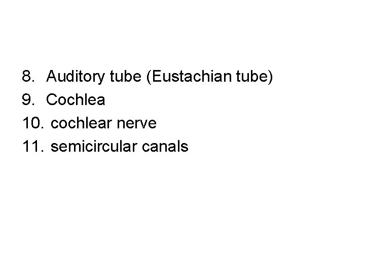 8. Auditory tube (Eustachian tube) 9. Cochlea 10. cochlear nerve 11. semicircular canals 