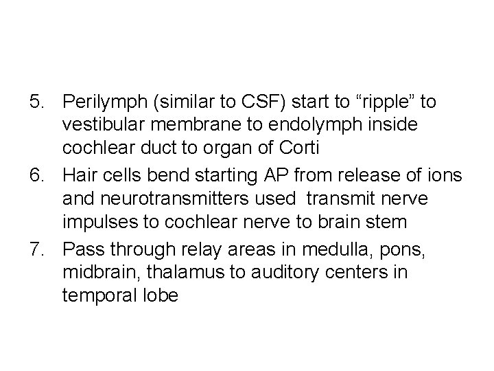 5. Perilymph (similar to CSF) start to “ripple” to vestibular membrane to endolymph inside