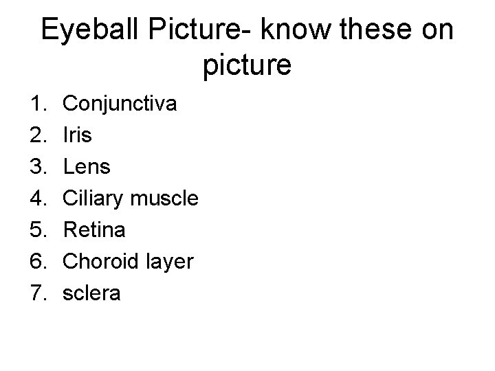 Eyeball Picture- know these on picture 1. 2. 3. 4. 5. 6. 7. Conjunctiva