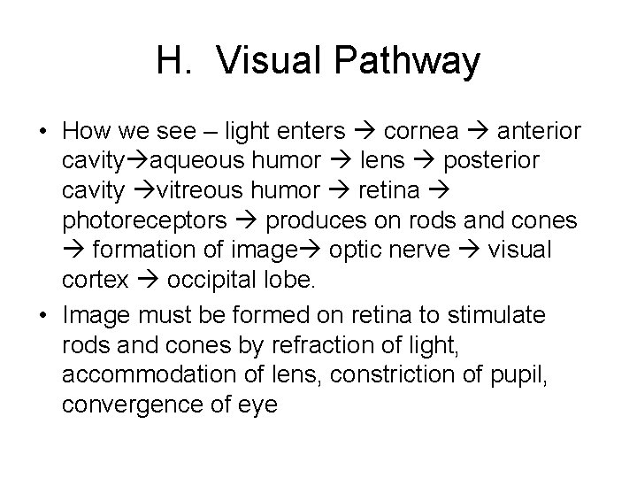 H. Visual Pathway • How we see – light enters cornea anterior cavity aqueous