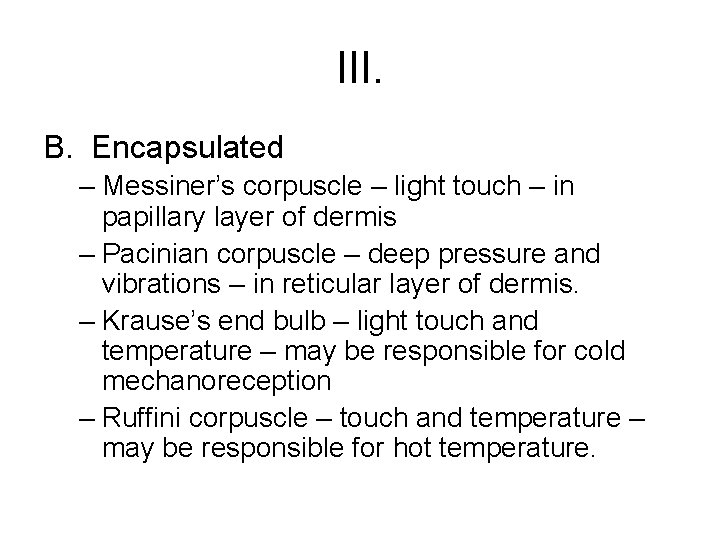 III. B. Encapsulated – Messiner’s corpuscle – light touch – in papillary layer of