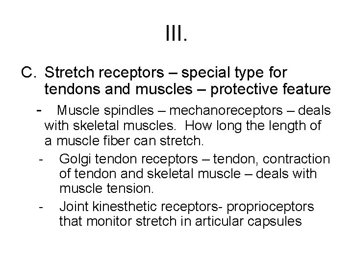 III. C. Stretch receptors – special type for tendons and muscles – protective feature