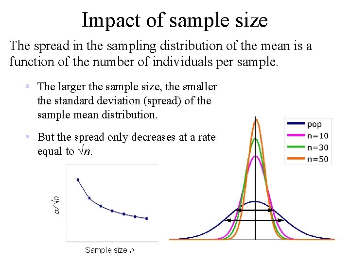 Impact of sample size The spread in the sampling distribution of the mean is