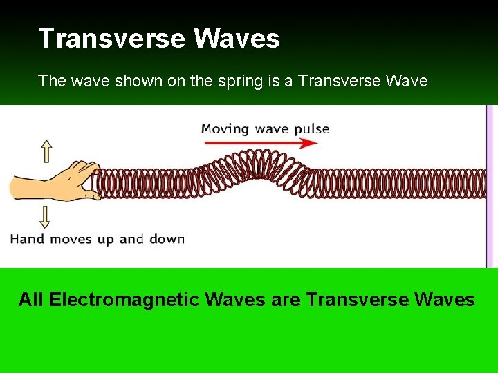 Transverse Waves The wave shown on the spring is a Transverse Wave All Electromagnetic