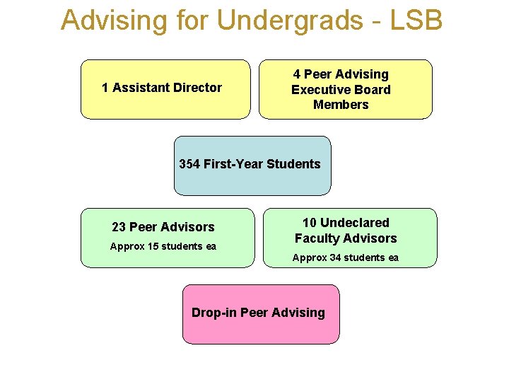 Advising for Undergrads - LSB 1 Assistant Director 4 Peer Advising Executive Board Members