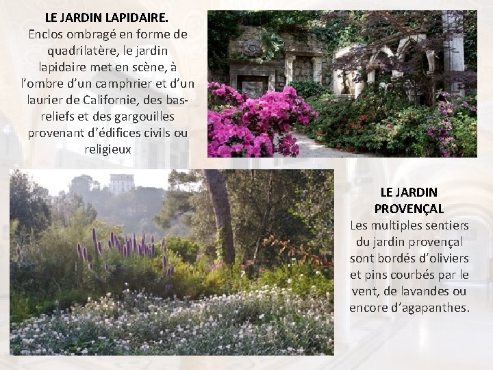 LE JARDIN LAPIDAIRE. Enclos ombragé en forme de quadrilatère, le jardin lapidaire met en