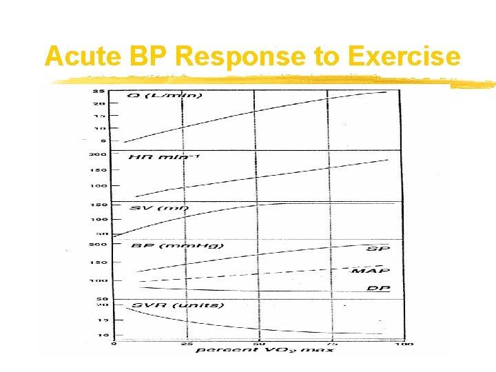 Acute BP Response to Exercise 