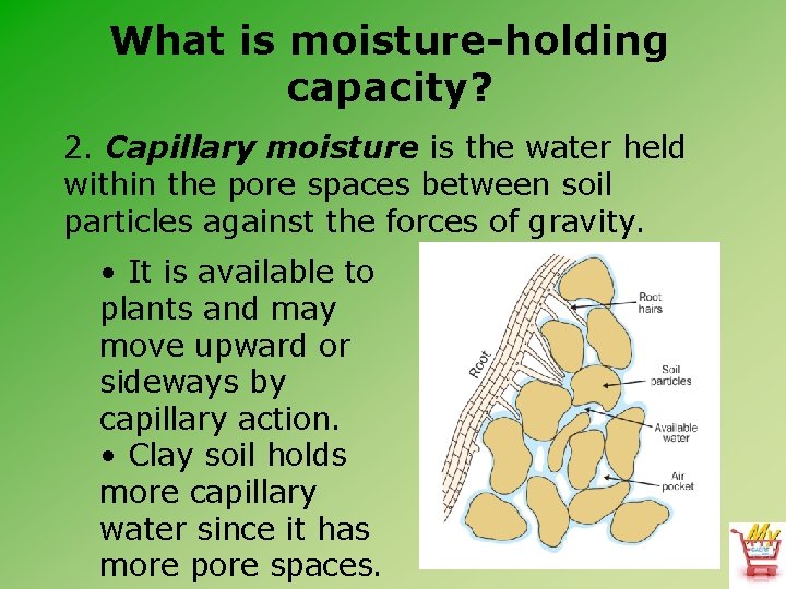 What is moisture-holding capacity? 2. Capillary moisture is the water held within the pore