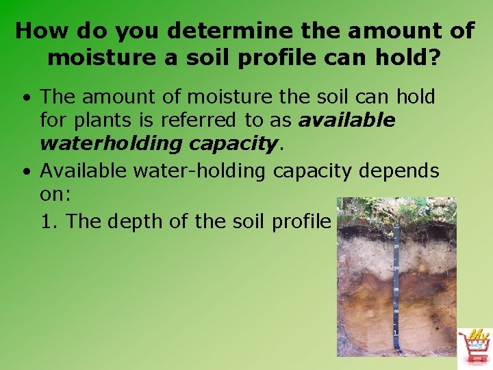 How do you determine the amount of moisture a soil profile can hold? •