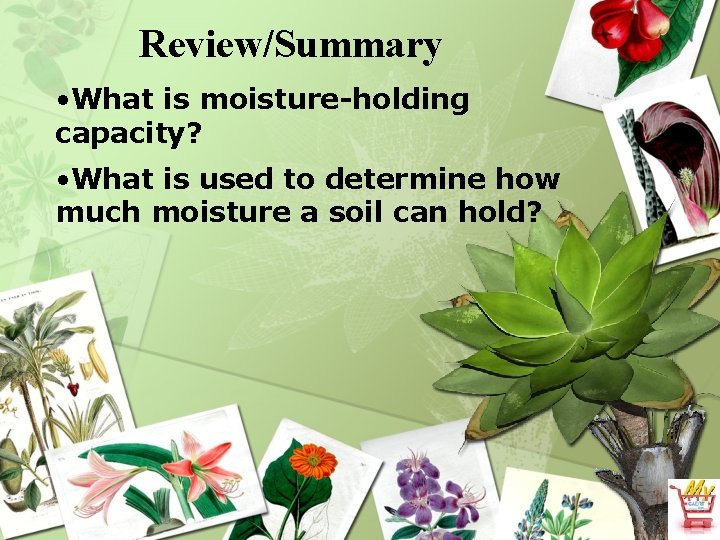 Review/Summary • What is moisture-holding capacity? • What is used to determine how much