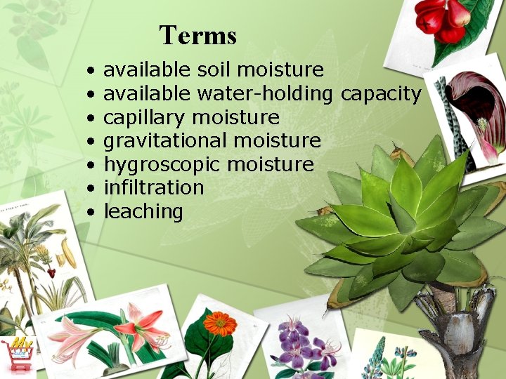 Terms • • available soil moisture available water-holding capacity capillary moisture gravitational moisture hygroscopic