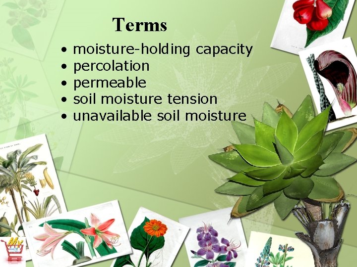 Terms • • • moisture-holding capacity percolation permeable soil moisture tension unavailable soil moisture