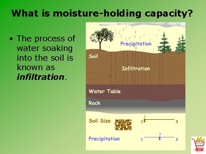 What is moisture-holding capacity? • The process of water soaking into the soil is