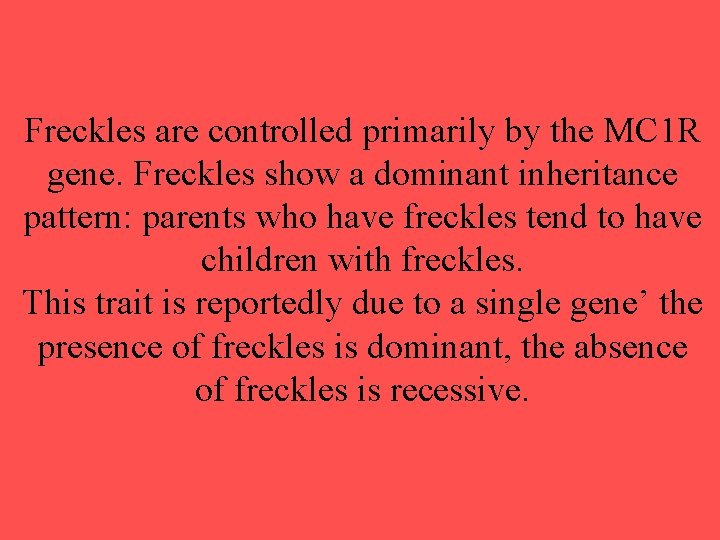 Freckles are controlled primarily by the MC 1 R gene. Freckles show a dominant