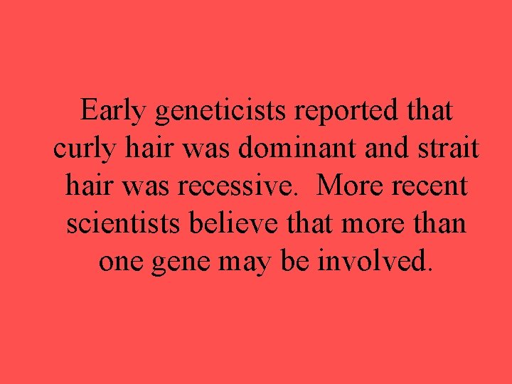 Early geneticists reported that curly hair was dominant and strait hair was recessive. More