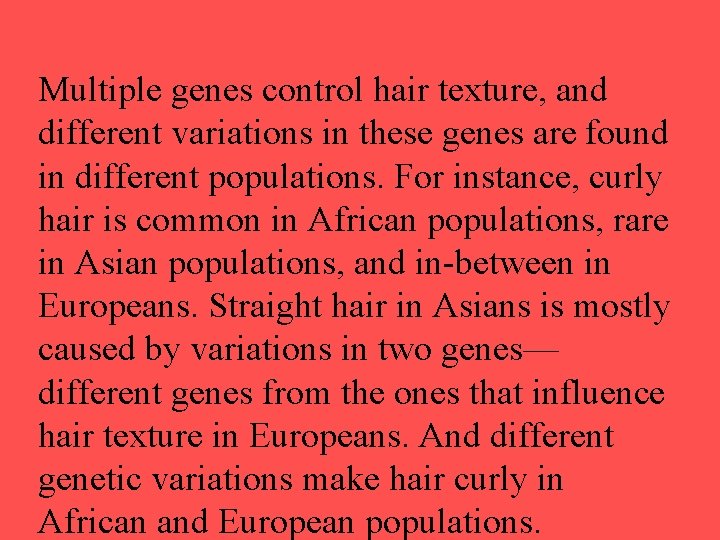 Multiple genes control hair texture, and different variations in these genes are found in