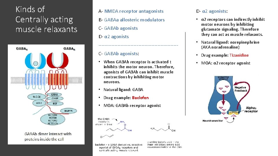 Kinds of Centrally acting muscle relaxants A- NMDA receptor antagonists D- α 2 agonists: