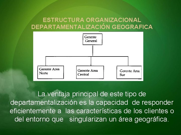 ESTRUCTURA ORGANIZACIONAL DEPARTAMENTALIZACIÓN GEOGRAFICA La ventaja principal de este tipo de departamentalización es la