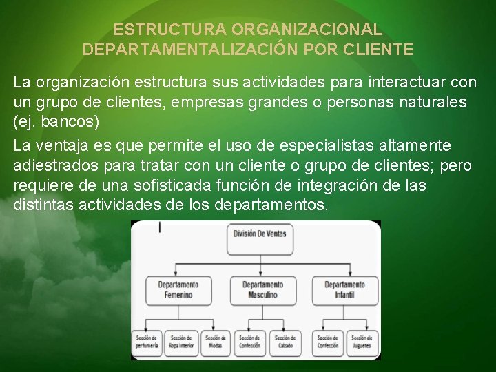 ESTRUCTURA ORGANIZACIONAL DEPARTAMENTALIZACIÓN POR CLIENTE La organización estructura sus actividades para interactuar con un