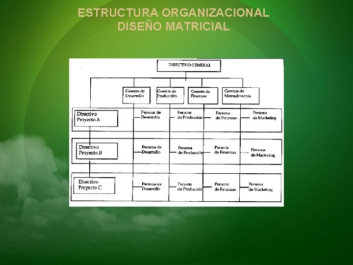 ESTRUCTURA ORGANIZACIONAL DISEÑO MATRICIAL 