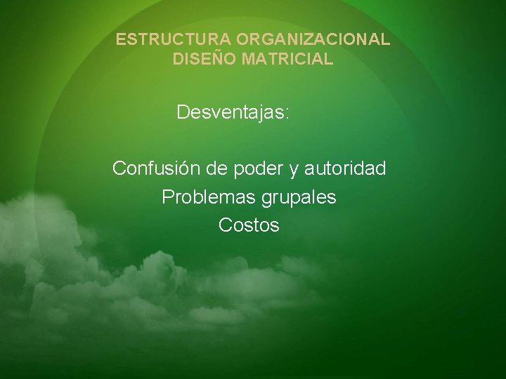 ESTRUCTURA ORGANIZACIONAL DISEÑO MATRICIAL Desventajas: Confusión de poder y autoridad Problemas grupales Costos 