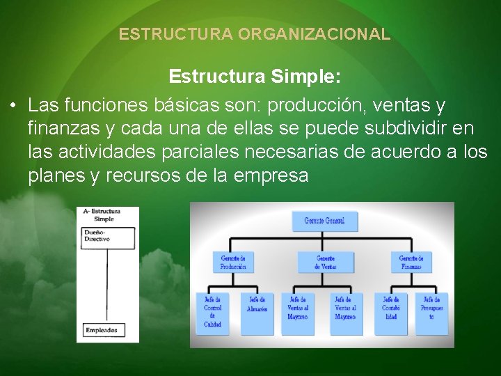 ESTRUCTURA ORGANIZACIONAL Estructura Simple: • Las funciones básicas son: producción, ventas y finanzas y