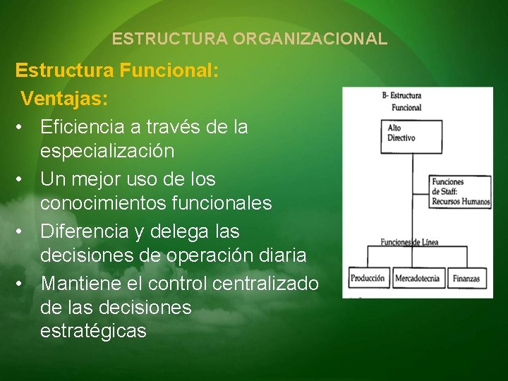 ESTRUCTURA ORGANIZACIONAL Estructura Funcional: Ventajas: • Eficiencia a través de la especialización • Un