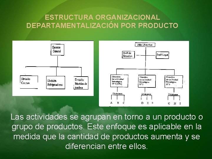 ESTRUCTURA ORGANIZACIONAL DEPARTAMENTALIZACIÓN POR PRODUCTO Las actividades se agrupan en torno a un producto