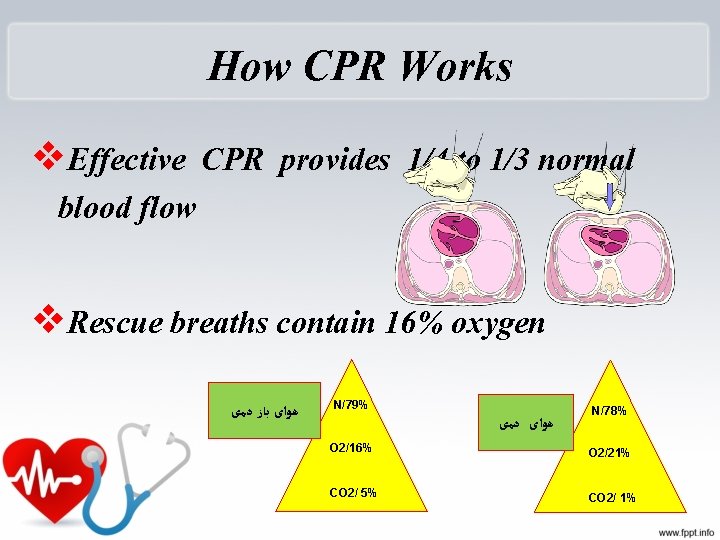 How CPR Works v. Effective CPR provides 1/4 to 1/3 normal blood flow v.